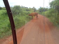 DSCN9027.JPG