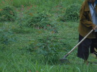 DSCN9024.JPG