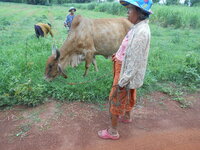 DSCN9025.JPG