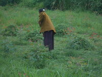 DSCN9021.JPG