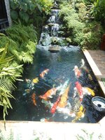 IMG_20190708_133254.jpg