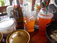 DSCN9100.JPG