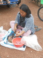 DSCN9270.JPG