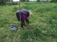DSCN9131.JPG