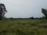 DSCN9139.JPG