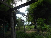 DSCN9134.JPG