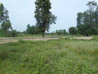 DSCN9140.JPG