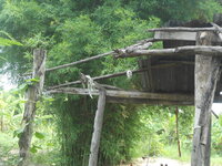 DSCN9137.JPG