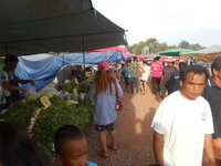 DSCN9549.JPG
