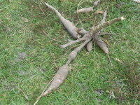 DSCN9315.JPG