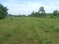 DSCN9316.JPG