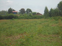 DSCN9317.JPG