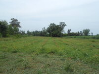 DSCN9318.JPG