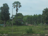 DSCN9383.JPG