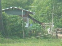DSCN9384.JPG
