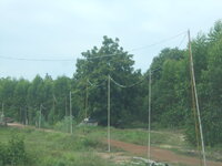 DSCN9382.JPG