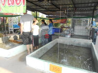 DSCN1659.JPG