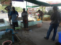 DSCN1664.JPG
