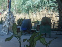DSCN1677.JPG
