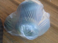 DSCN1706.JPG