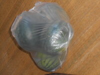 DSCN1705.JPG