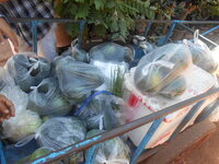 DSCN1708.JPG