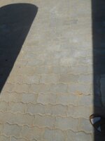 IMG_20190122_140450.jpg