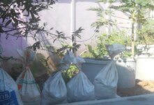 IMG_20200830_094553.jpg