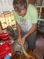 IMG_20190123_210729.jpg