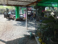 DSCN1996.JPG