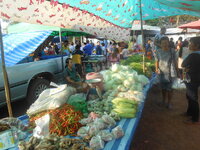 DSCN1672.JPG
