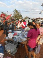 IMG_20191014_121359.jpg