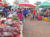 DSCN2019.JPG