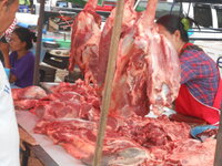 DSCN0496.JPG