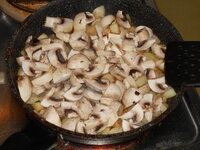 DSCN2392.JPG