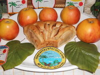DSCN2379.JPG