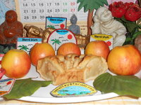 DSCN2382.JPG