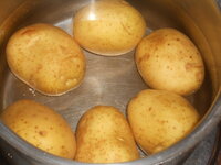 DSCN2176.JPG