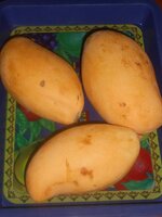 IMG_20200828_102235.jpg