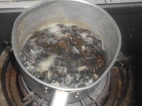 DSCN1686.JPG