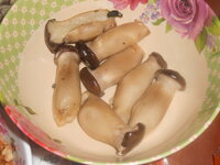 DSCN1798.JPG