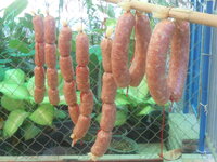 DSCN2003.JPG