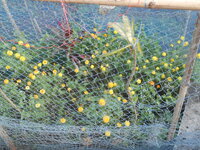 DSCN2090.JPG