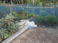 DSCN2088.JPG