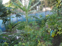 DSCN2093.JPG
