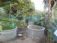 DSCN2092.JPG