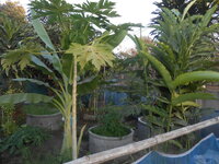 DSCN2091.JPG