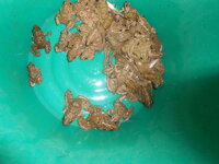 DSCN2034.JPG