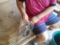 DSCN2033.JPG