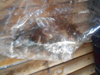 DSCN2038.JPG